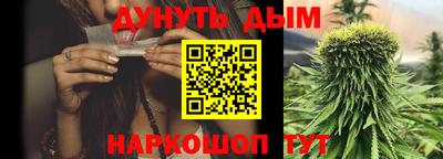 сатива Камышлов