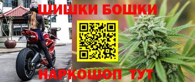 сатива Камышлов