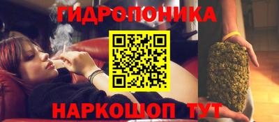 сатива Камышлов