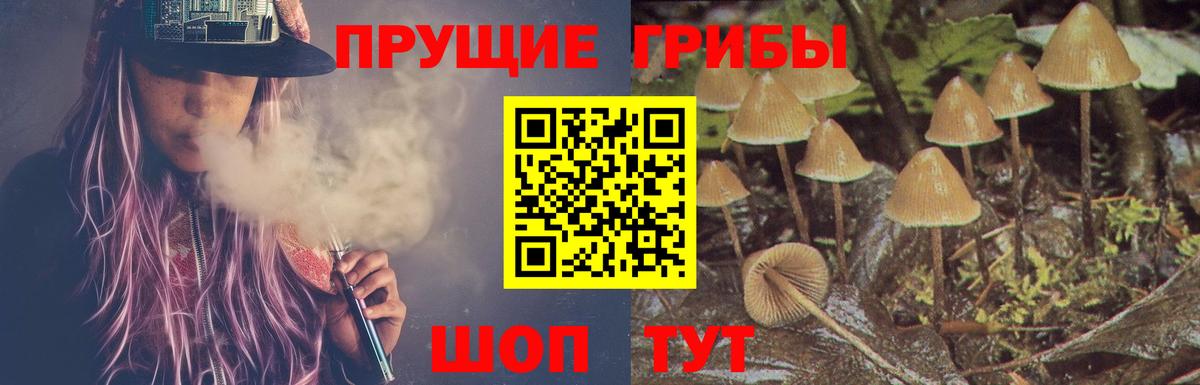 Аксай  Галлюциногенные грибы мицелий  Вход с VPN 